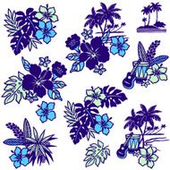 picture of Hibiscus N49