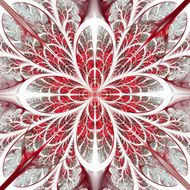 Symmetrical pattern of the leaves in red white and black