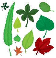 Leaves set N4