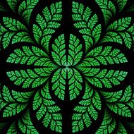 Fabulous symmetric pattern of the leaves in green
