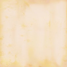 Vector Grungy Background N5