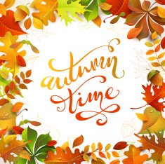 Autumn time N4
