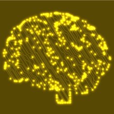Circuit board computer brain Vector illustration N22