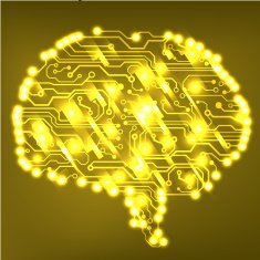 Circuit board computer brain Vector illustration N24