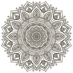 Mandala N489