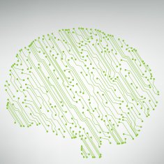 Circuit board computer brain Vector illustration N26