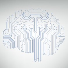 Circuit board computer brain Vector illustration N30