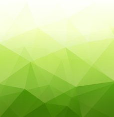 Abstract geometric polygonal background N28