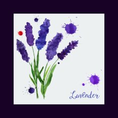 Vector greeting card with watercolor lavender N6