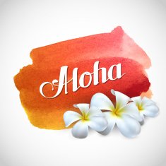 Aloha label with exotic frangipani flowers on watercolor background