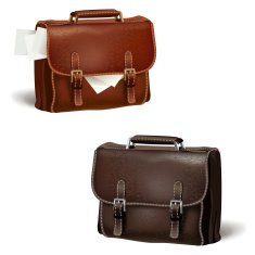 Black and brown leather briefcases N2