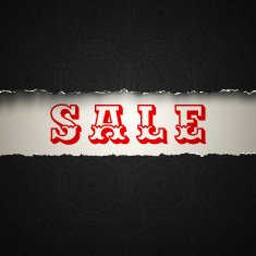 sale on torn paper N2