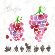 Red Grape icons set N2