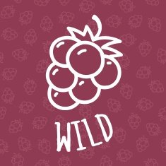 Seamless background with blackberry illustration N2
