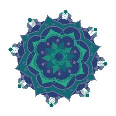 Mandala N490