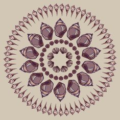 Mandala made of Seashells N10