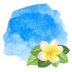 watercolor background N349