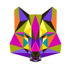 Abstract bright colored polygonal triangle geometric wolf isolated on white N2