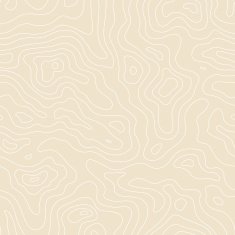 Topographic Map Seamless Pattern Vector Background N3