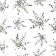 Ganja Leaves Seamless N2