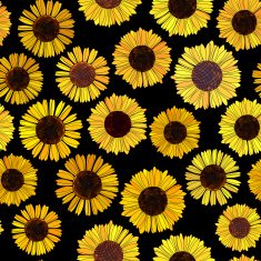 Seamless sunflowers vector background