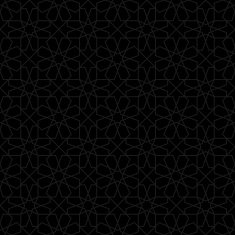 Seamless pattern in traditional style N10