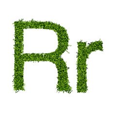 Isolated grass alphabet N11