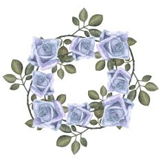 Watercolor blue roses flowers with green leaves