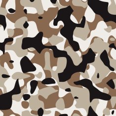 Camouflage Pattern Modern Desert N2