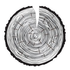 Tree rings background N3