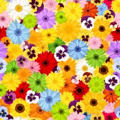 Seamless pattern with colorful flowers Vector illustration N6