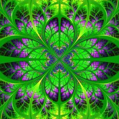 Symmetrical fractal pattern Collection - tree foliage N8
