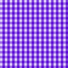 Picnic country checkered pattern N6