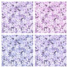 Set of seamless backgrounds with lilac flowers Vector illustration