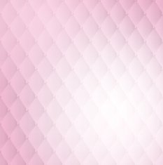 Upholstery vector background N4
