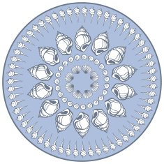 Mandala made of Seashells N11