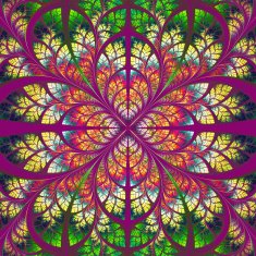 Symmetrical fractal pattern Collection - tree foliage N9