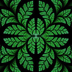 Fabulous symmetric pattern of the leaves in green