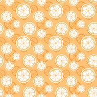 Abstract citrus fruit seamless pattern Vector illustration N8