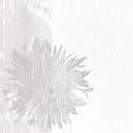 Greeting card or invitation with chrysanthemums on a striped background