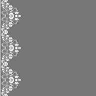 lace fabric background N60