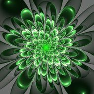 Beautiful lush green flower on gray background