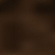 Brown Leather Texture N2