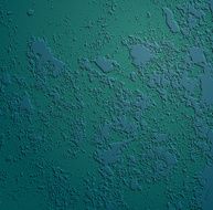 plaster02