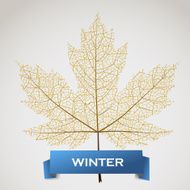 Maple leave with winter banner