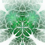 Fabulous fractal pattern in green Collectiont - tree foliage