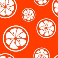 Abstract citrus fruit seamless pattern Vector illustration N9