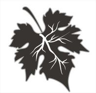 Grape Leaf N2