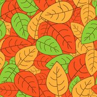 autumn leaves N147