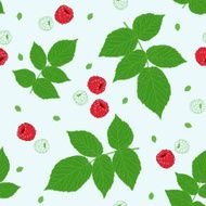 Seamless pattern with raspberries and green raspberry leaves on